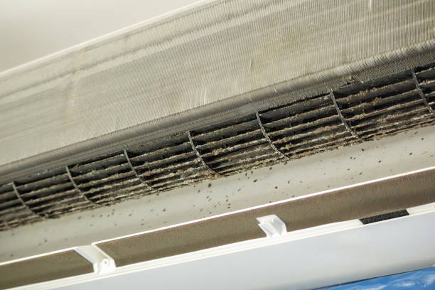 Air Duct Mold Removal in New London, CT